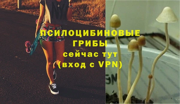 ALPHA PVP Алзамай