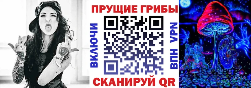 Галлюциногенные грибы Cubensis  MEGA tor  Ступино 
